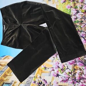 Ann Taylor Women's Dark Green Pants Size 10L New